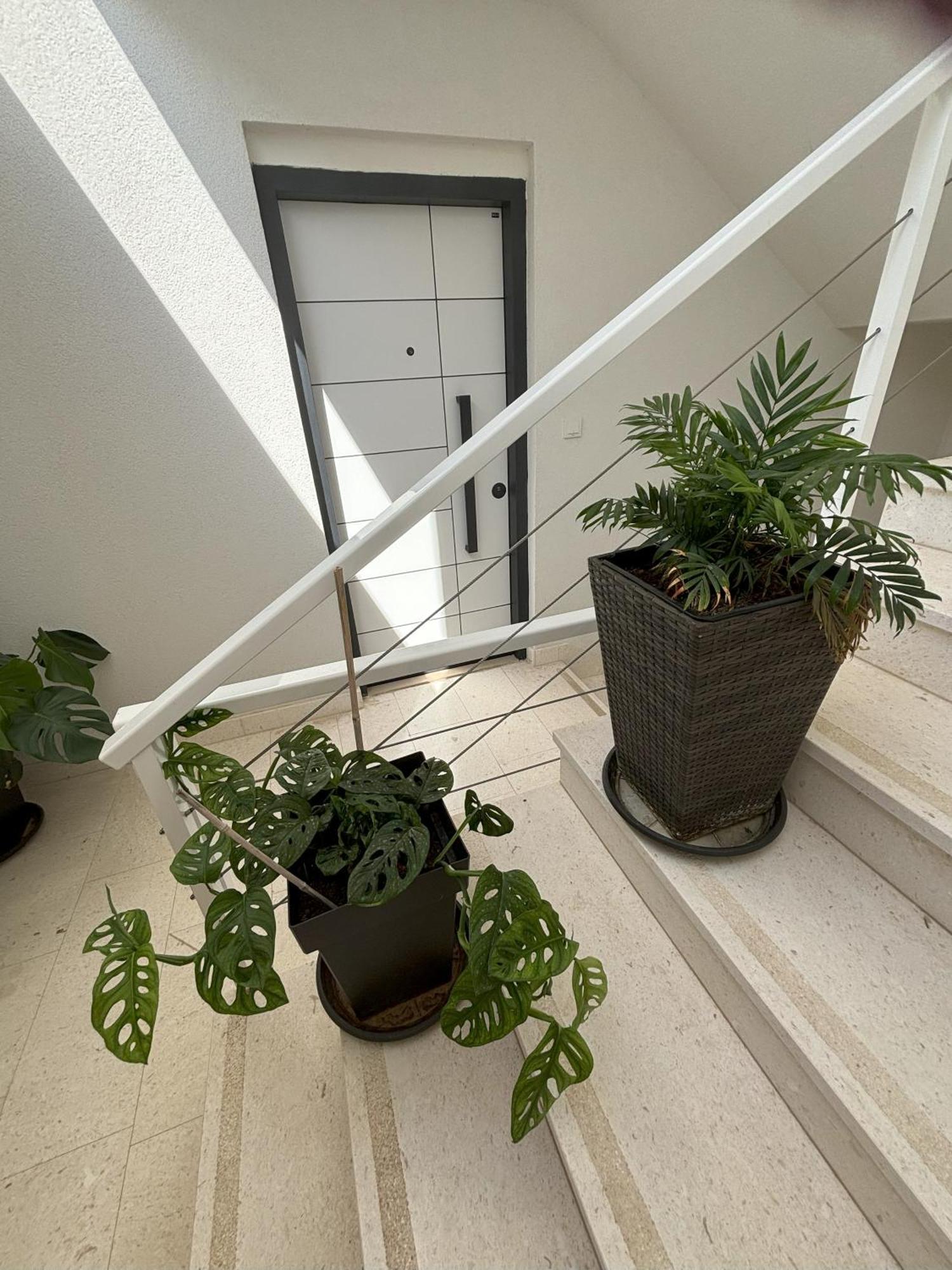 Vila Regina Apartment Rex With Swimming Pool يزيرا المظهر الخارجي الصورة